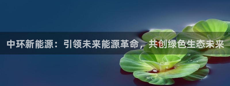 新宝gg传奇