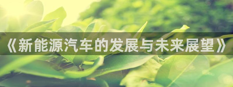 新宝gg娱乐