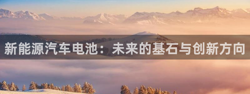 新宝GG53339咨询新宝GG:新能源汽车电池:未来的基石与