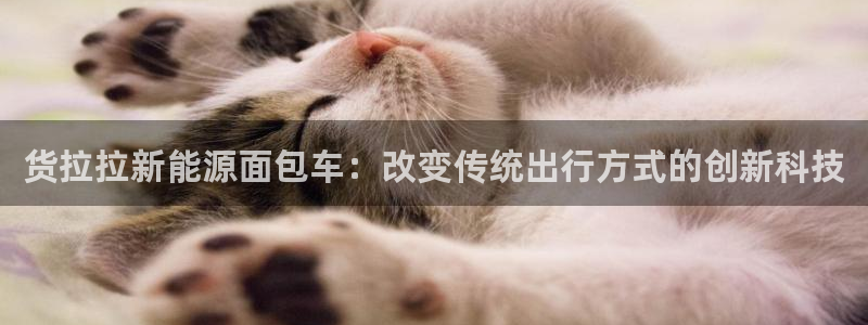 新宝gg传奇：货拉拉新能源面包车：改变传