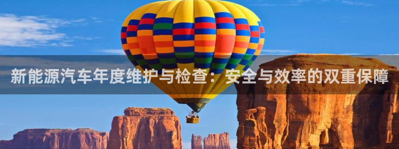 新宝gg主管 9：新能源汽车年度维护与检