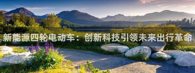 新宝gg评论：新能源四轮电动车：创新科技