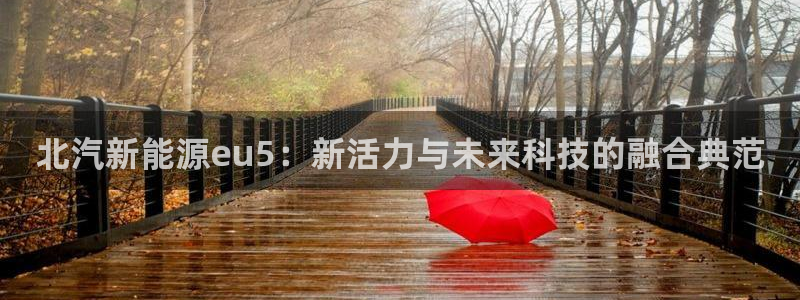 新宝gg5：北汽新能源eu5：新活力与未