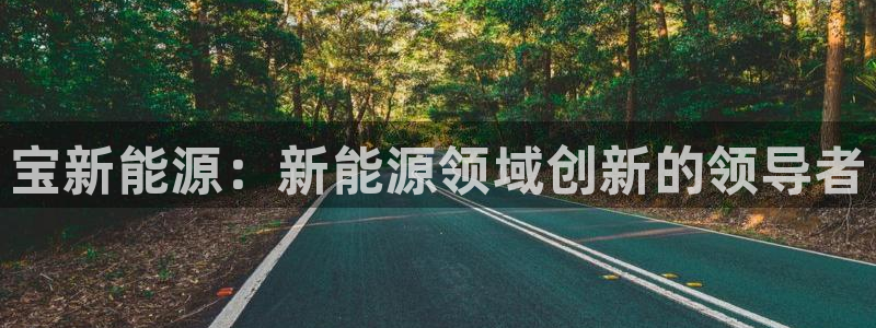 新宝gg开户流程：宝新能源：新能源领域创