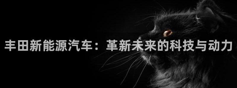 新宝gg网址