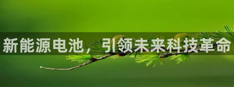 新宝_gg:新能源电池,引领未来科技革命
