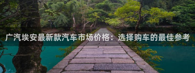 新宝5和新宝gg:广汽埃安最新款汽车市场价格:选择购车的最佳