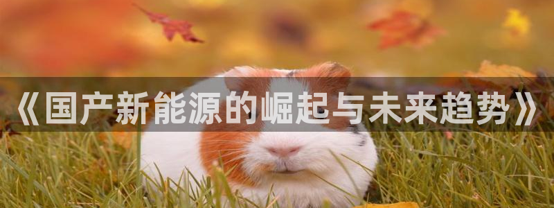 新宝gg是在境外吗:《国产新能源的崛起与未来趋势》