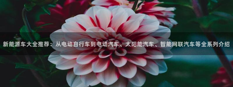 新宝gg登:新能源车大全推荐:从电动自行车到电动汽车、太阳能