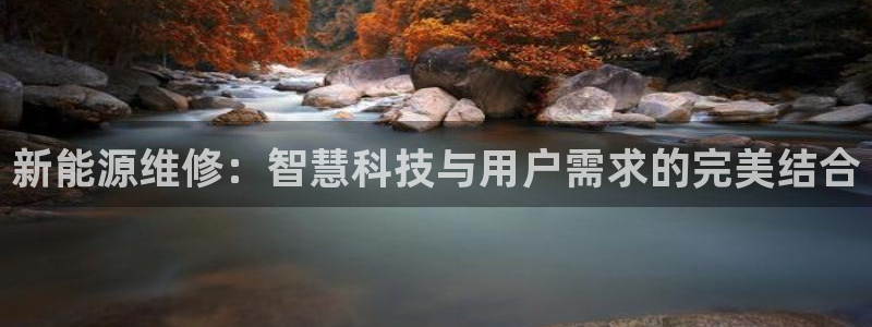 新宝gg网投:新能源维修:智慧科技与用户需求的完美结合