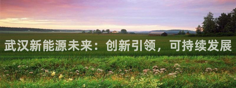 新宝gg登录注册:武汉新能源未来:创新引领,可持续发展