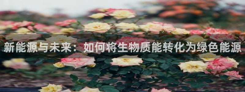 新宝gg帐号注册:新能源与未来:如何将生物质能转化为绿色能源