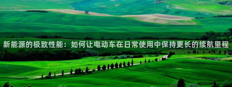 新宝GG傲78778:新能源的极致性能:如何让电动车在日常使