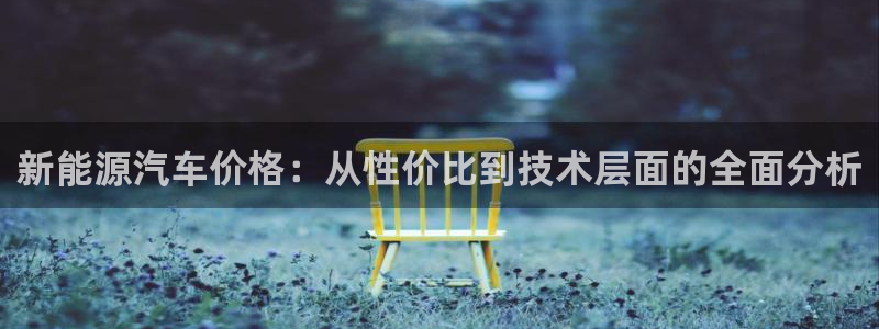 新宝gg客服:新能源汽车价格:从性价比到技术层面的全面分析