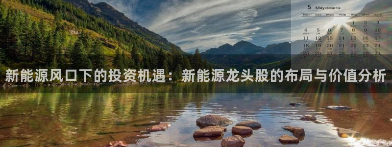 新宝gg登陆：新能源风口下的投资机遇：新