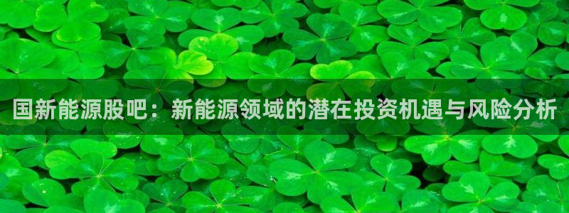 宝新gg:国新能源股吧:新能源领域的潜在投资机遇与风险分析