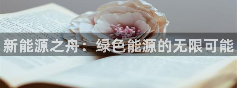 新宝GG创造奇:新能源之舟:绿色能源的无限可能