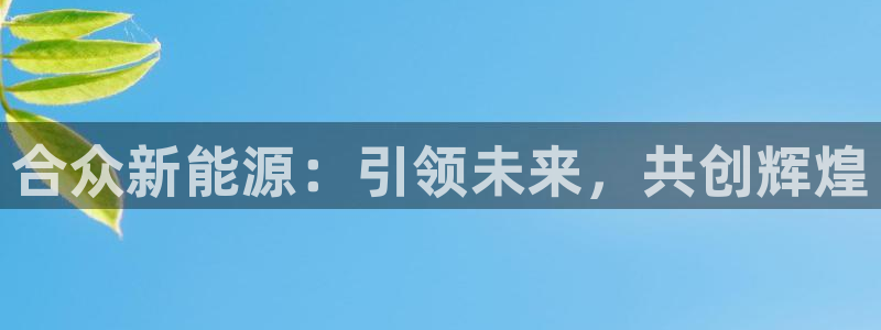 娱乐世界新宝gg:合众新能源:引领未来,共创辉煌