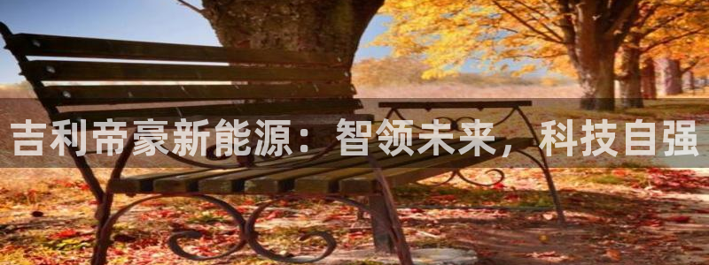 新宝gg集团:吉利帝豪新能源:智领未来,科技自强
