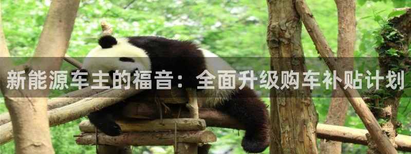 新宝gg主管:新能源车主的福音:全面升级购车补贴计划
